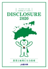 DISCLOSURE 2020